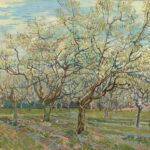 Geluiddempende muurcirkels met indrukwekkende opdruk