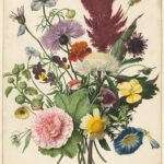 Geluiddempende muurcirkels met indrukwekkende opdruk