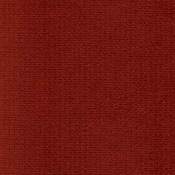 scarlett - 10 weken +&euro;25.00